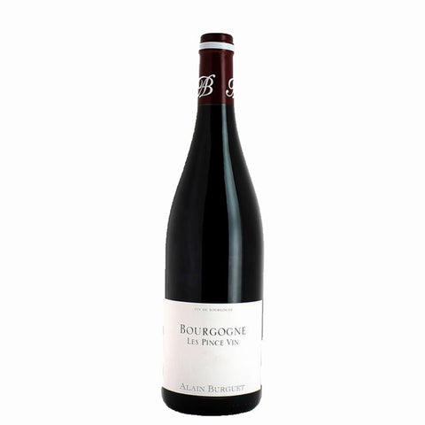 Domaine Alain Burguet Bourgogne Les Pince Vin 2020 750ml
