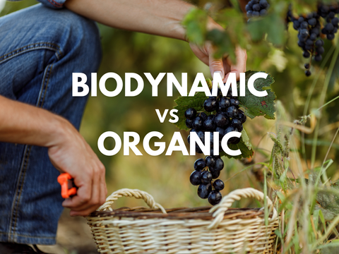 Organic & Biodynamic Wines – 67