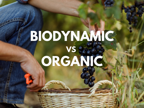 Organic & Biodynamic Wines