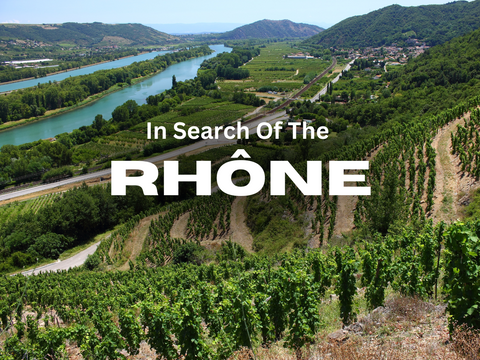 In Search of the Rhône