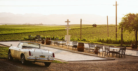 True Myth Cabernet Sauvignon Paso Robles 2022 750ml