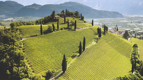 Val di Suga Rosso di Montalcino 2022 750ml