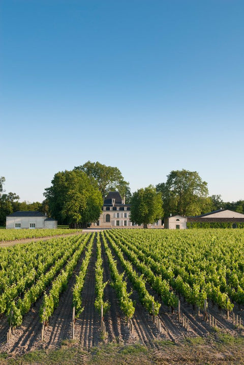 Les Allees de Cantemerle Haut Medoc 2nd Wine of Chateau Cantemerle 2019 750ml