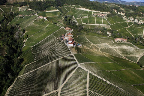 Paolo Conterno Barolo Rive del Bric 2021 750ml