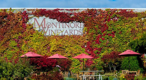 Montinore Pinot Noir Red Cap Willamette Valley 2022 750ml