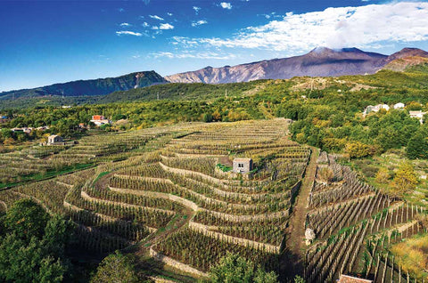 Benanti Etna ROSSO Sicily 2022 750ml