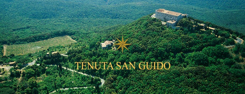 Tenuta San Guido Sassicaia 2021 750ml