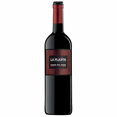Bodegas Arzuaga La Planta Ribera del Duero 2023 750ml