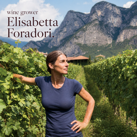 Ampeleia Unlitro Toscana Organic Biodynamic 2024 1.0 Liter